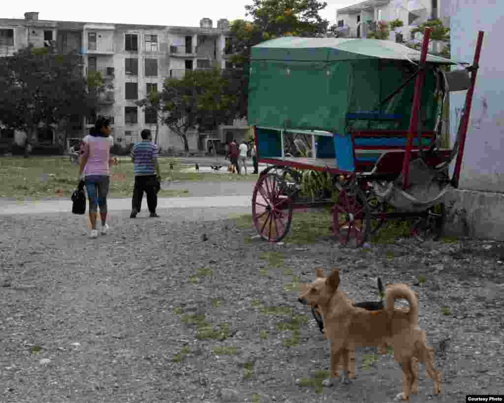 Transportistas por cuenta propia en Holgu&iacute;n.