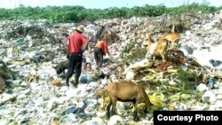 Basureros en Cienfuegos